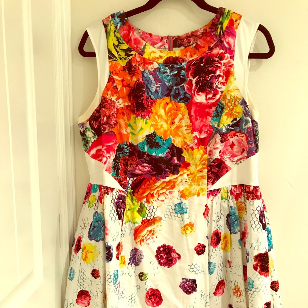 Praval Gurang for Target floral dress with pockets